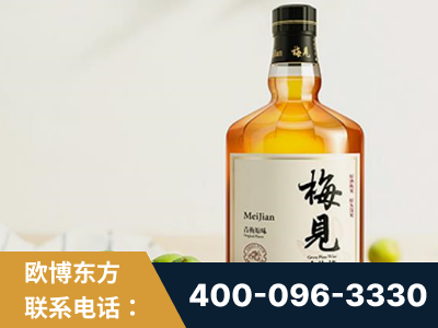 吕梁-梅见青梅酒